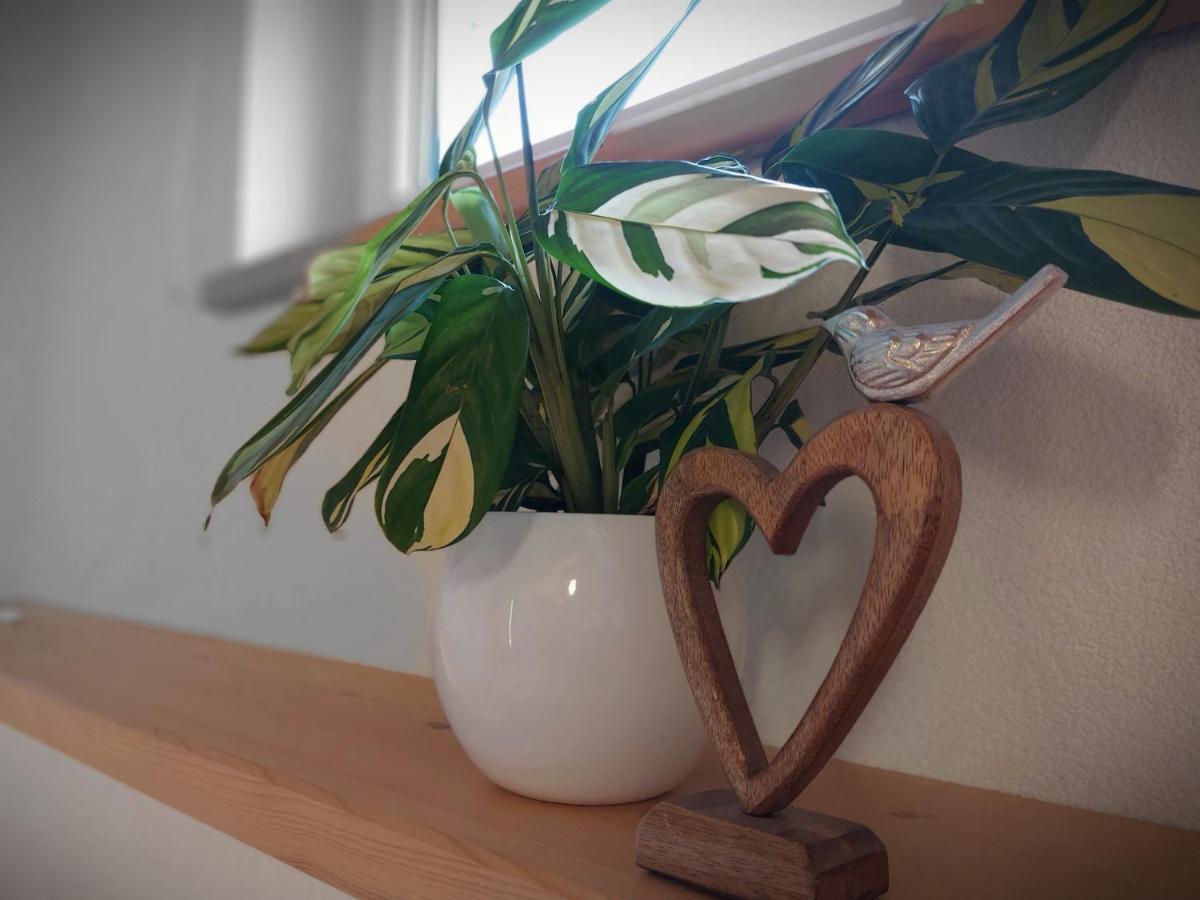 Apartments Amelie -1- Mit Wallbox Fuer Ihr E-Auto Kaunerberg エクステリア 写真